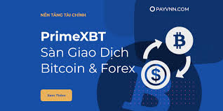 PrimeXBT Account Registration Review 1 PrimeXBT Account Registration Review 1